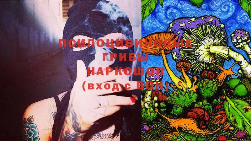 магазин  наркотиков  Зима  Псилоцибиновые грибы Psilocybine cubensis 